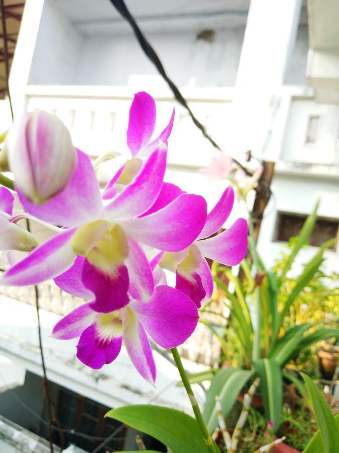 Kochi Heather Home Stay מראה חיצוני תמונה