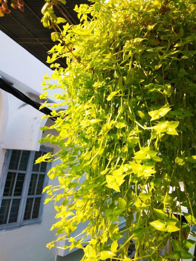 Kochi Heather Home Stay מראה חיצוני תמונה